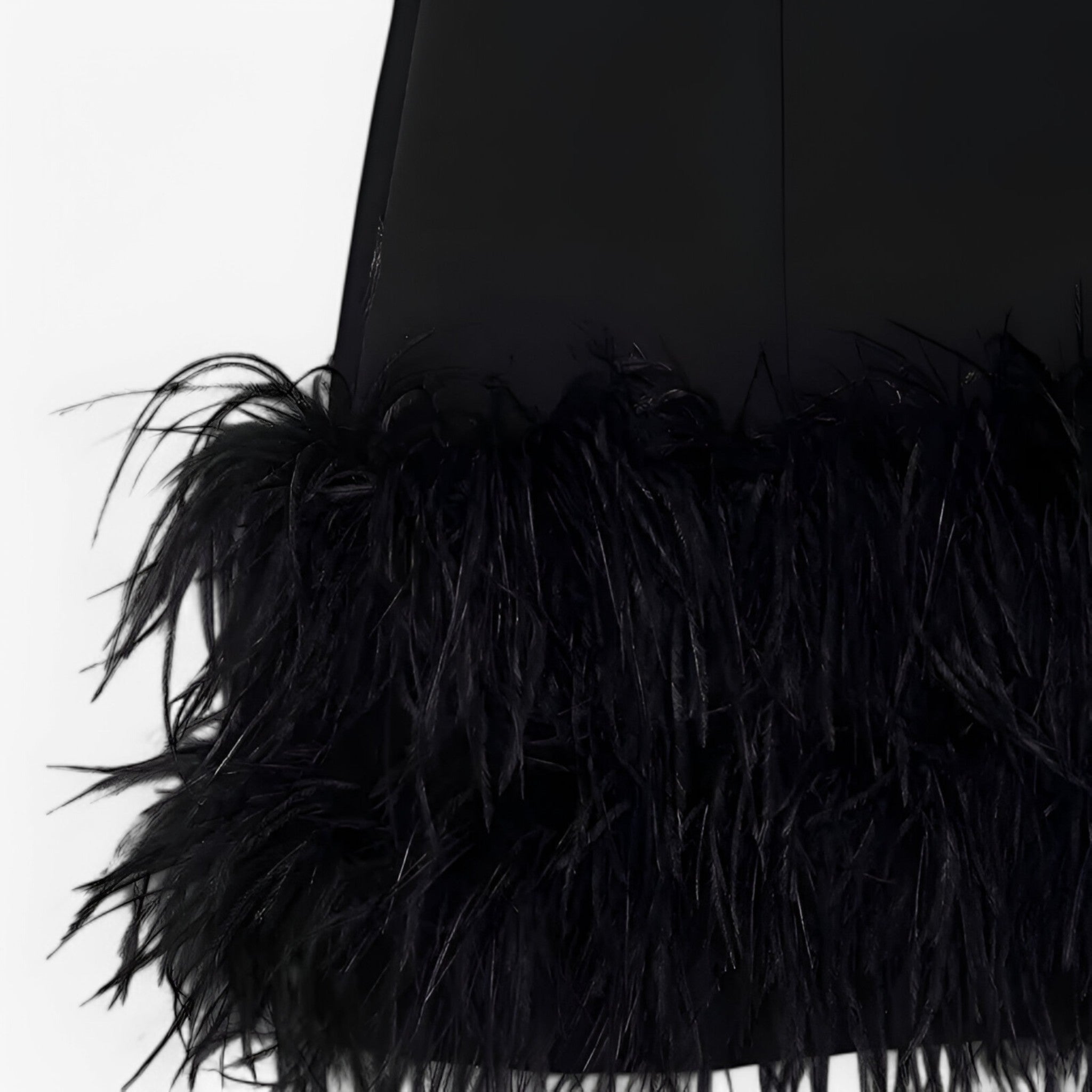 Seraphina | Robe Mini avec Plumes