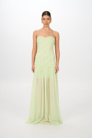 Review by Zia Q.
